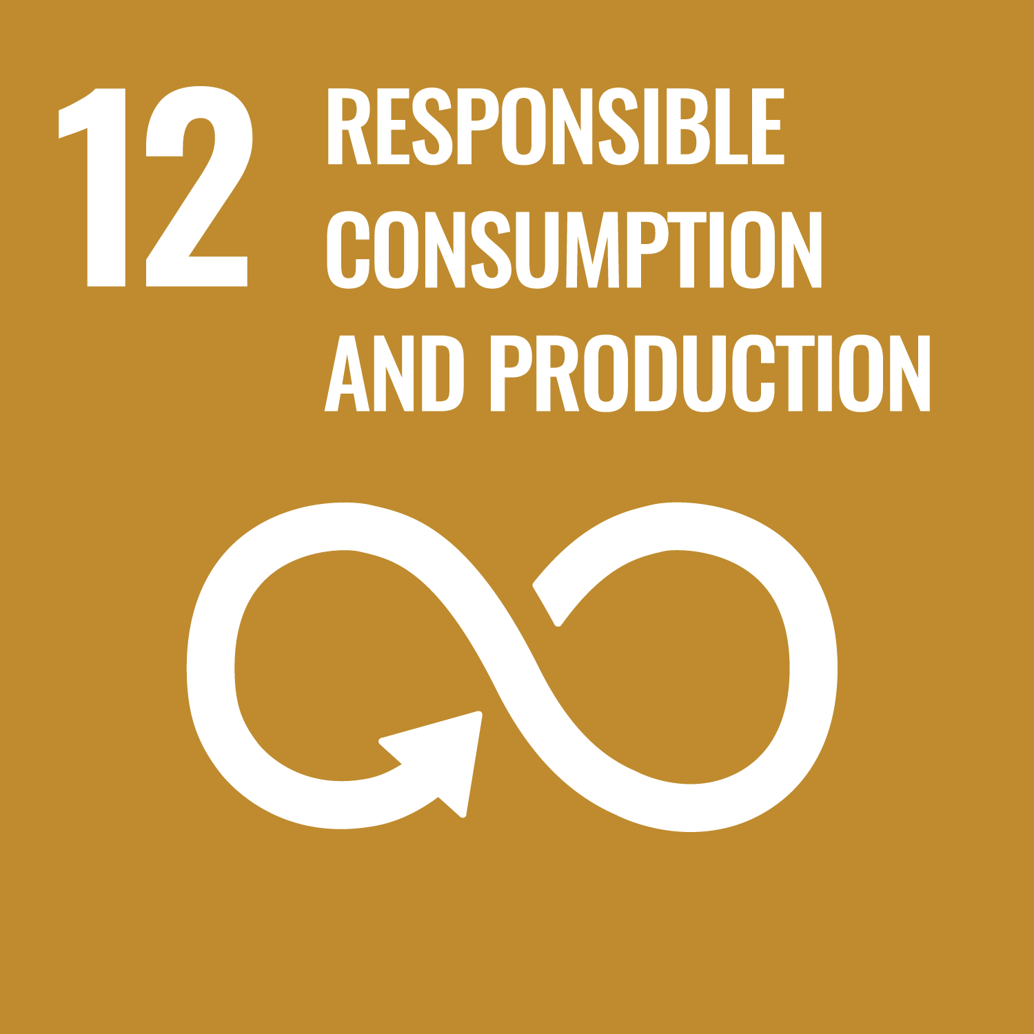 United Nations SDG Goals for Responsable Consumption and Production