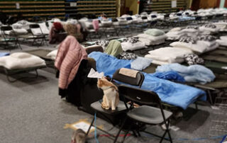 Refugee center staff protection